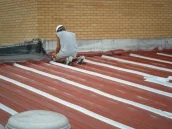 airzona-156.jpg-nggid03150-ngg0dyn-172x129x100-00f0w010c011r110f110r010t010