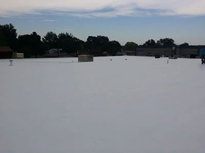 flat-roof-coating-experts-Montana