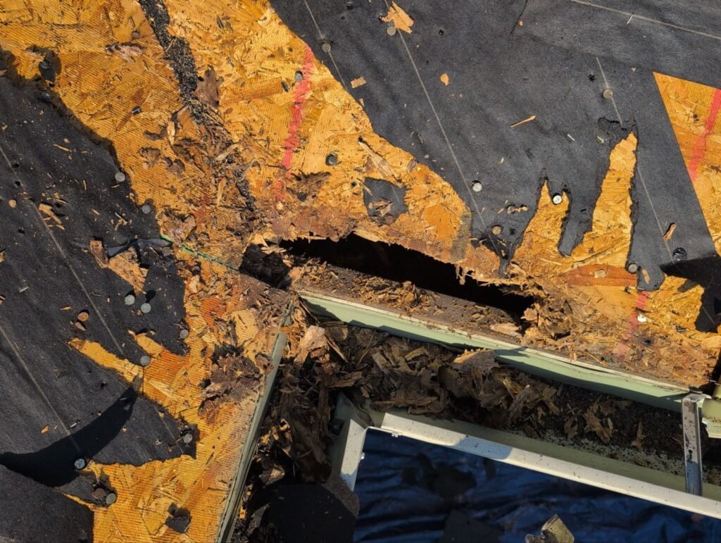 Rotted roof decking and an opening above the front entry found during tear-off in Republic, MO